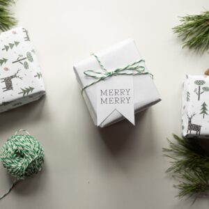 Tips for Budgeting for the Holidays, Kara Day Financial Advisor